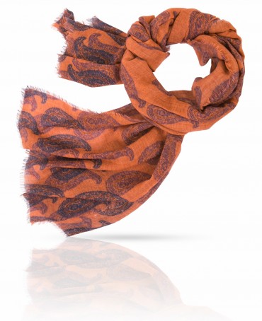 Палантин Унисекс W70.TW4-SK48/BR